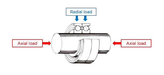 The radial and axial loads